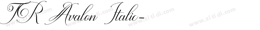TR Avalon Italic字体转换